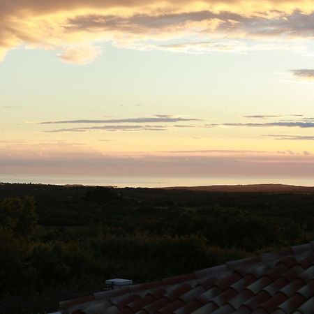 Villa Carolus-Luxurious Istrian Villa Barat  المظهر الخارجي الصورة