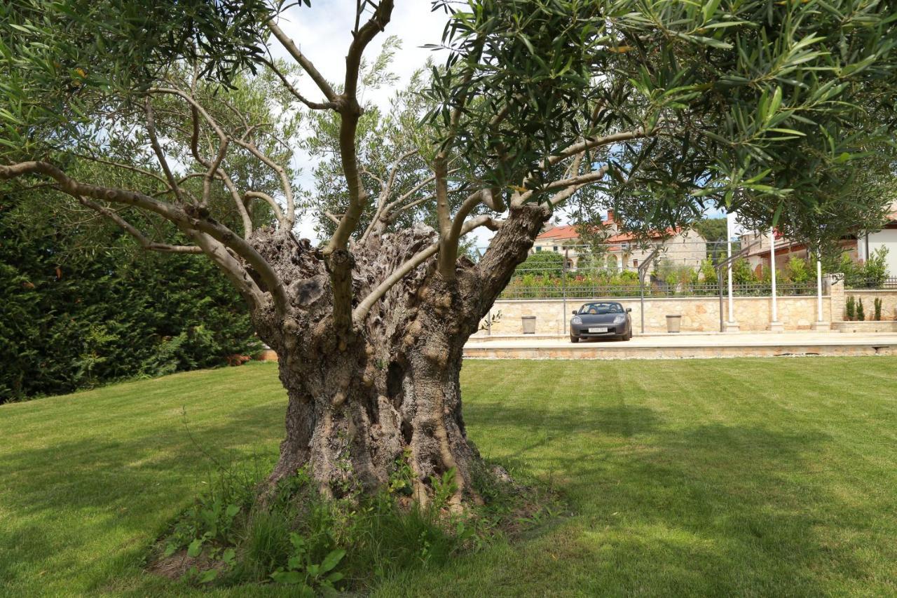 Villa Carolus-Luxurious Istrian Villa Barat  المظهر الخارجي الصورة